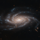 Spiral galaxy NGC 2008 has a classic pinwheel structure.